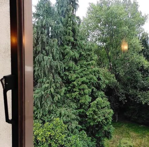 酒店 Terrace House